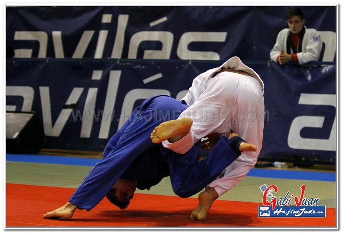 AVILES 2013022